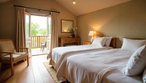 Top 12 Affordable Game Lodges in Gauteng 2025