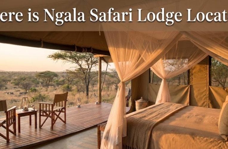 Where is Ngala Safari Lodge Located?