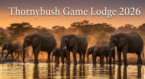 Thornybush Game Lodge 2026